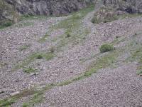 Youri - Ecrins 2005 133